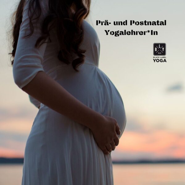 Prä- und Postnatal Yogalehrer*In Ausbildung